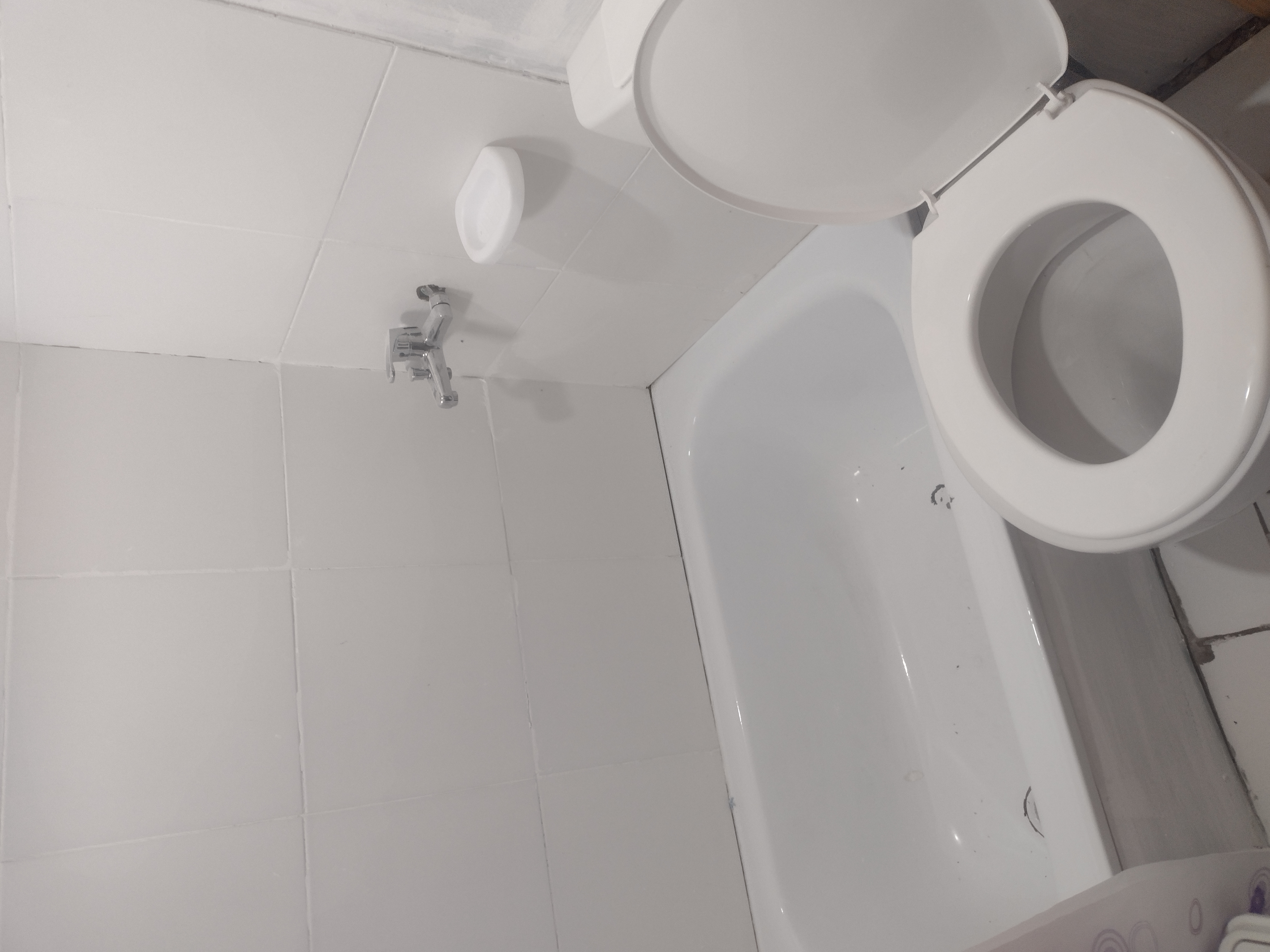 bañadera